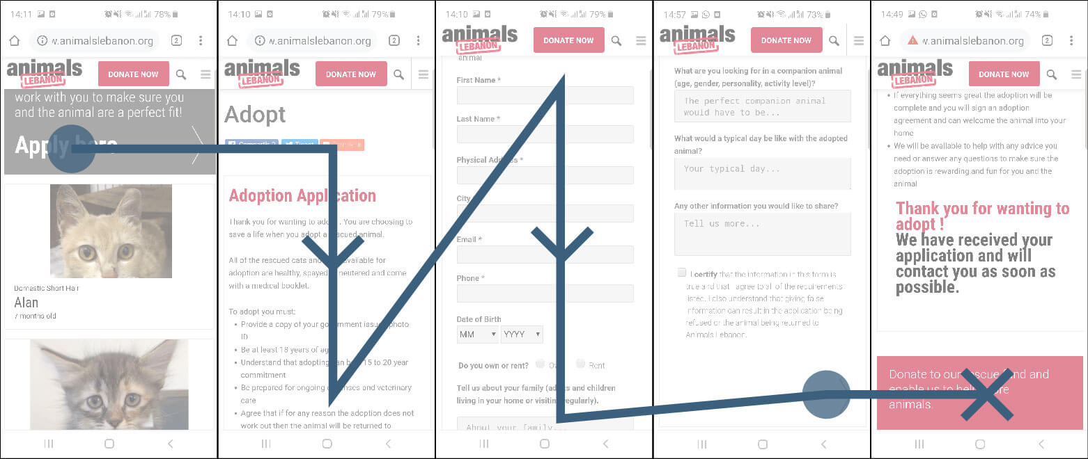 User flow analysis for the Animal's Lebanon website